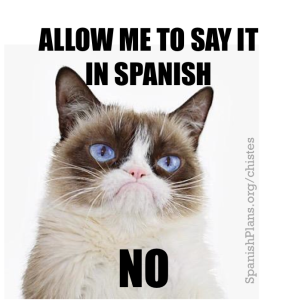 Grumpy Cat in Spanish